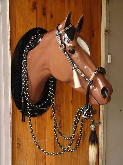 P1160715.JPG - 16 plait bosal with rawhide and kangaroo hide heel knot and nose band set up with macthing headstall and hand braide parachute cord mecate