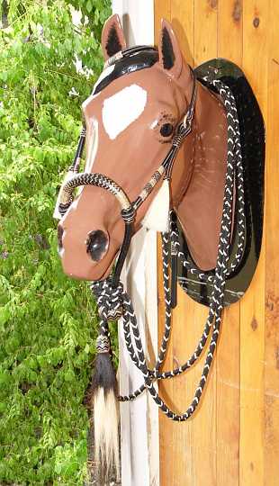 ttbosal07.JPG - 16 plait bosal with rawhide and kangaroo hide heel knot and nose band set up with macthing headstall and hand braide parachute cord mecate