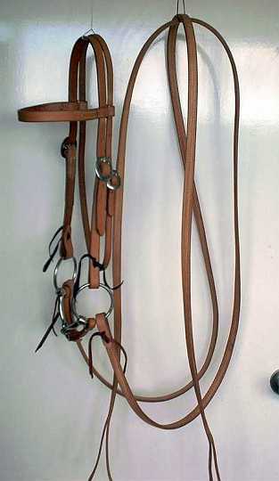Mar07_01-1.jpg - Full Work Set Up
Straight Brow Work Bridle
Single buckle curb strap
Double Ply Split Reins
all with water tie ends.