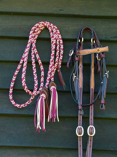 P1170861.JPG - Matching set bridle and Aussie stockmans breastplate with kangaroo hide applique And parachute cord hand plaited reins