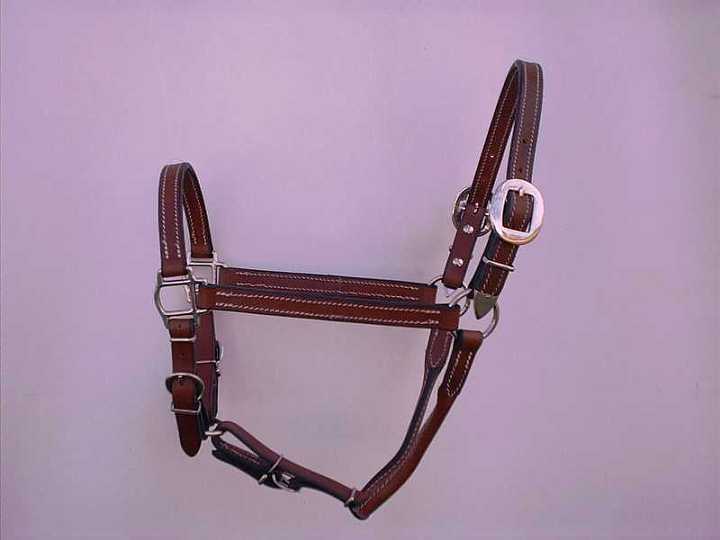 Apr04$03-1.jpg - Leather halter with stainless steel hardware.