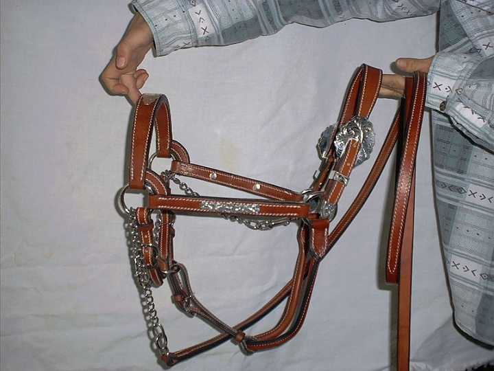 sep09_03-1.jpg - Custom made halter & lead with silver trim.