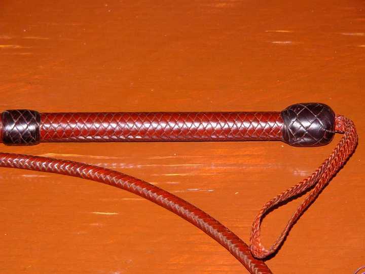 P1180320.JPG - close up of bullwhip handle