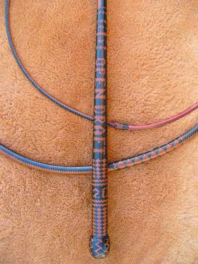 P1110288-1.jpg - Close up shot of the ACC whip handle