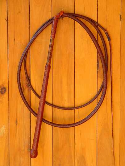 P1170238.JPG - 7ft Half plait handle stock whip 16 x12 plait