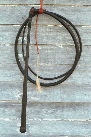 Stockwhip-1.jpg - 12 plait Australian stock whip.