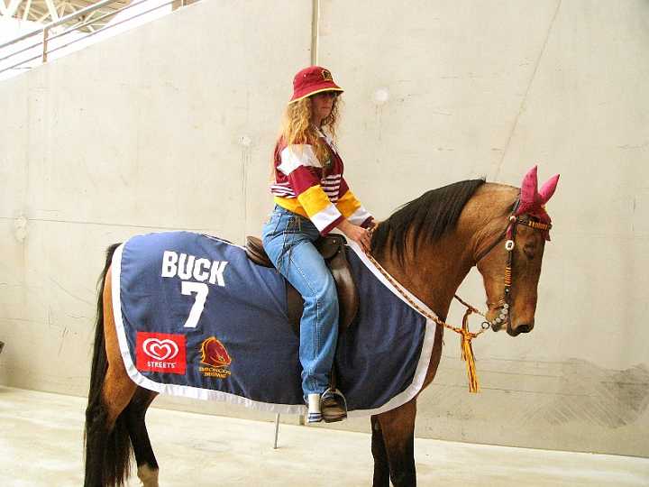 P1120229.jpg - We are proud supporters of "BUCK" the BRONCOS mascot horse, Kerri is pictured here with him, just prior to kick off ~ Round 17 ~ 2005 @ Suncorp Stadium. Buck's sporting a Straight Brow Bridle with Braided Knots, in the team colours , of course & a Loop Rein ~ hand plaited parachute cord. Kerri is a devoted fan of the Broncos & has been since 1988, when the team was first conceived. An amazing Saddle Bred Horse who handles an amazing atmosphere, week in week out. To check out the latest at the Bronc's headquaters you can go to their site, www.broncos.com.au One day, Kerri will never forget ~ sideline , up close & personal with her football hero's !!