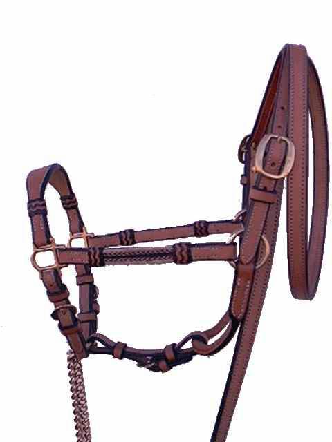 halter01.jpg